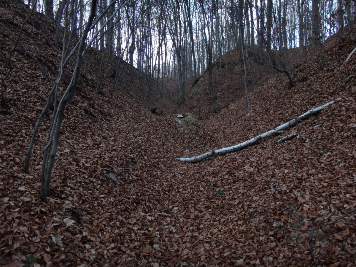 Bukowce nad Bodziejowicami