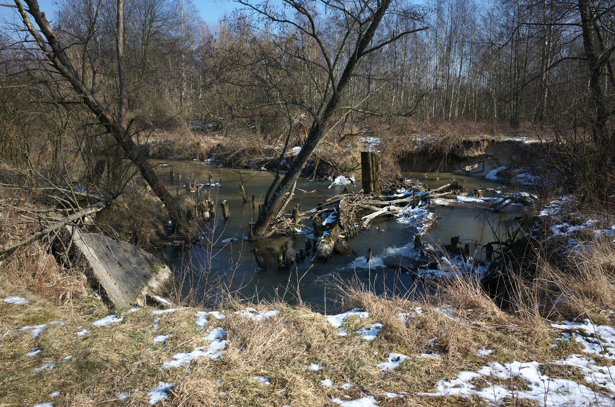 Wydartuchy myn, Dolina Biaki Lelowskiej