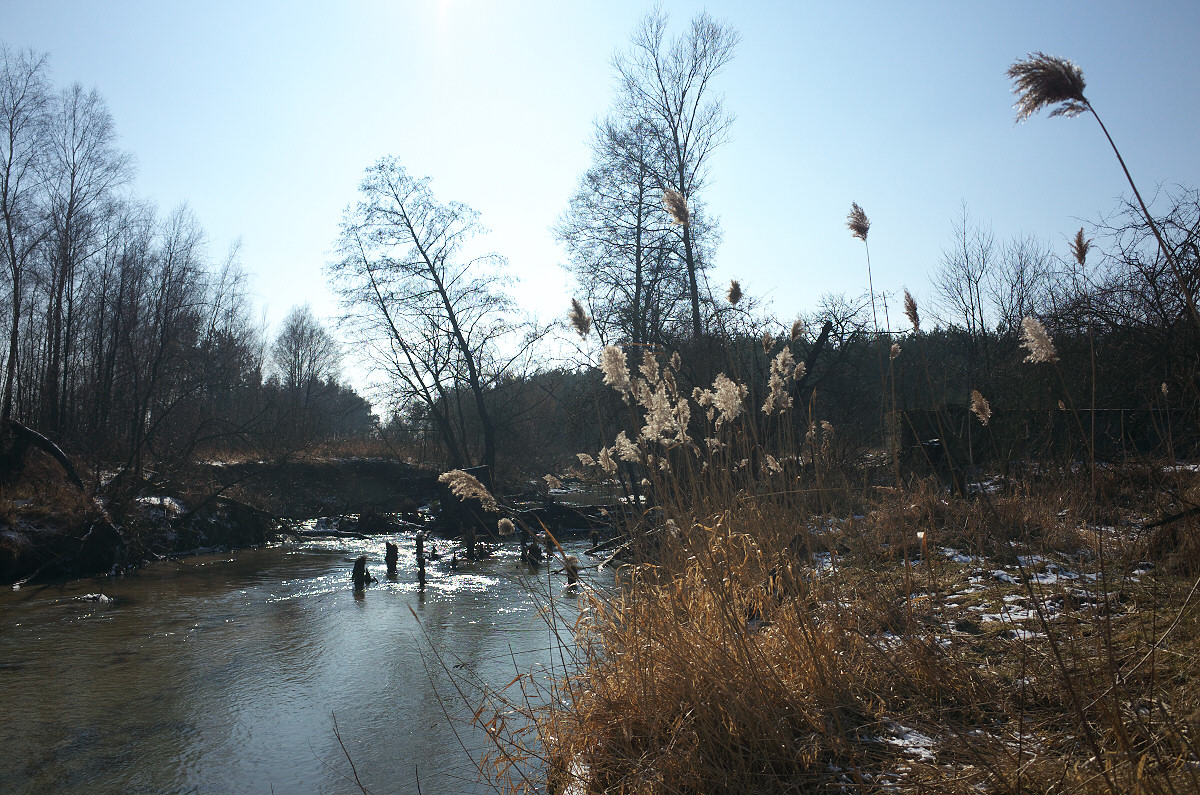 Wydartuchy myn, Dolina Biaki Lelowskiej