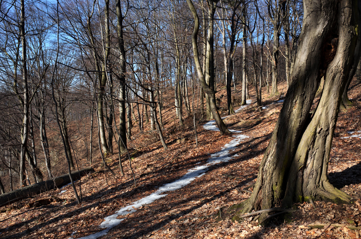 Ojcowski Park Narodowy