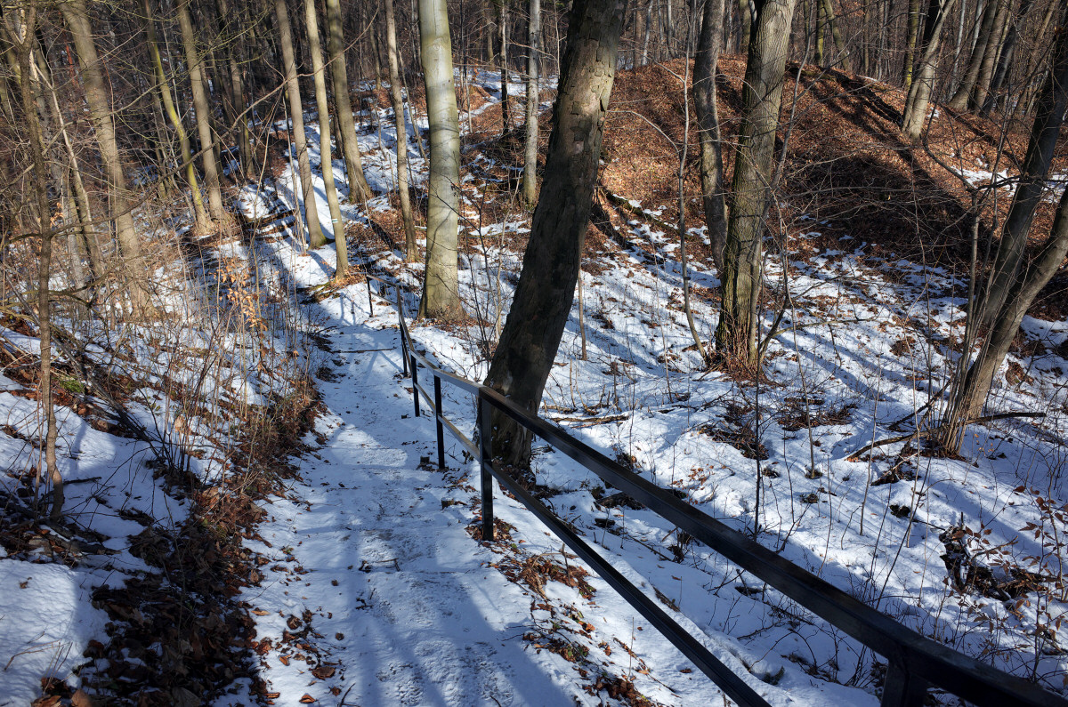 Ojcowski Park Narodowy