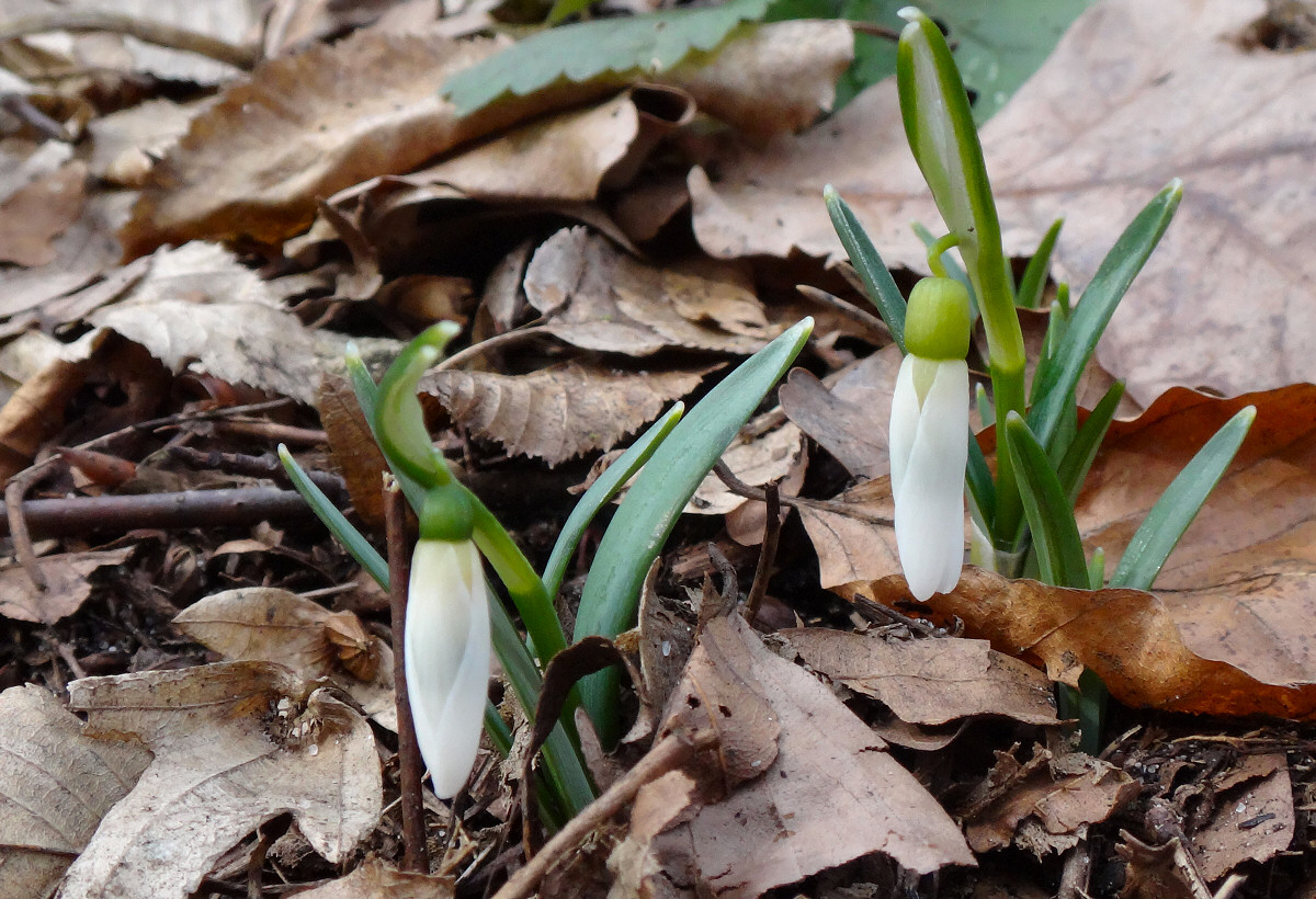 Dolina Wiercicy, rez. Parkowe