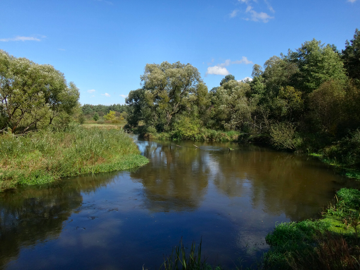 Zapraszam na kajaki - www.kajakiempopilicy.pl