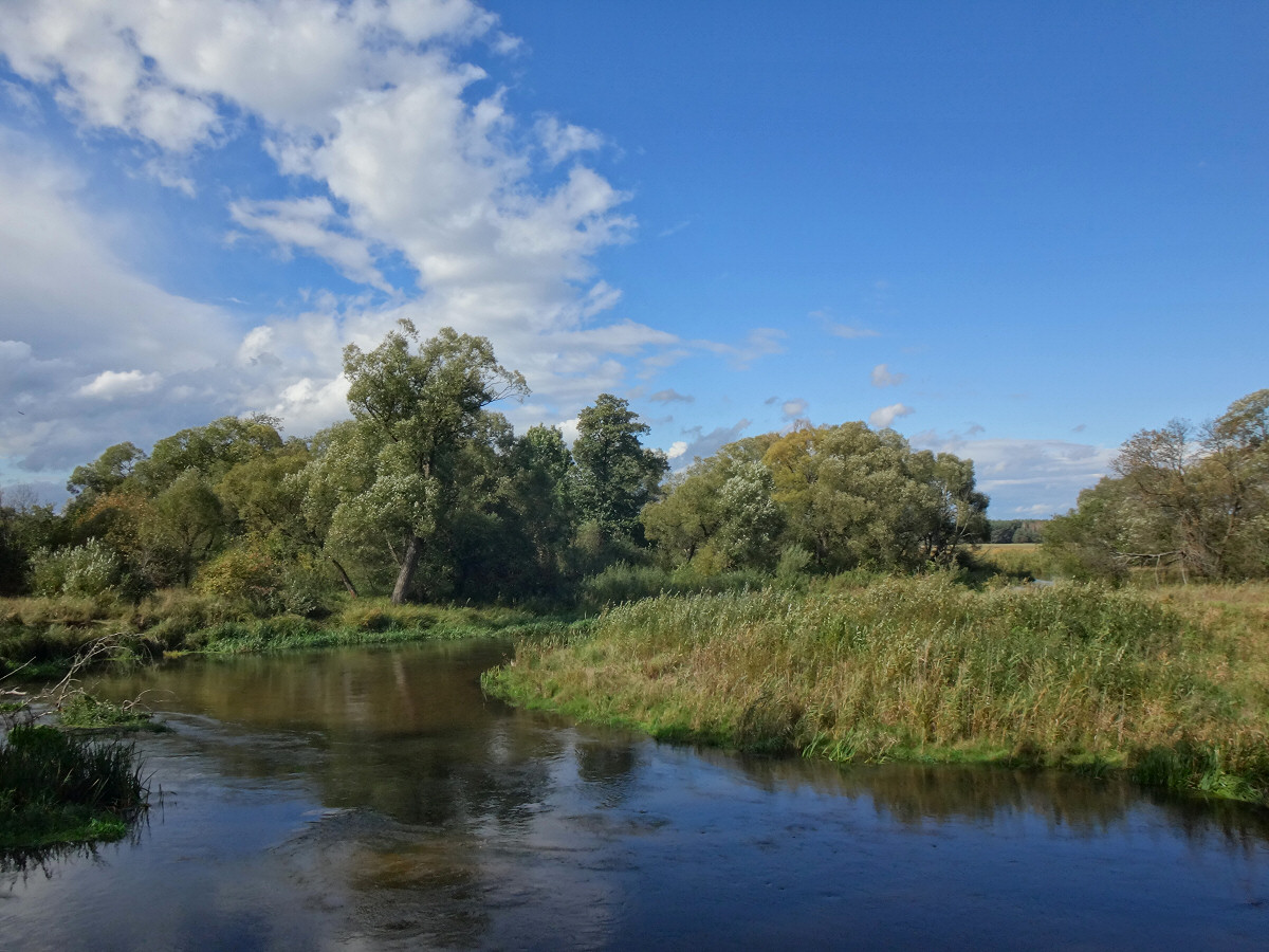 Zapraszam na kajaki - www.kajakiempopilicy.pl