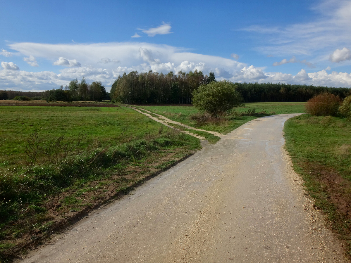 Zapraszam na kajaki - www.kajakiempopilicy.pl