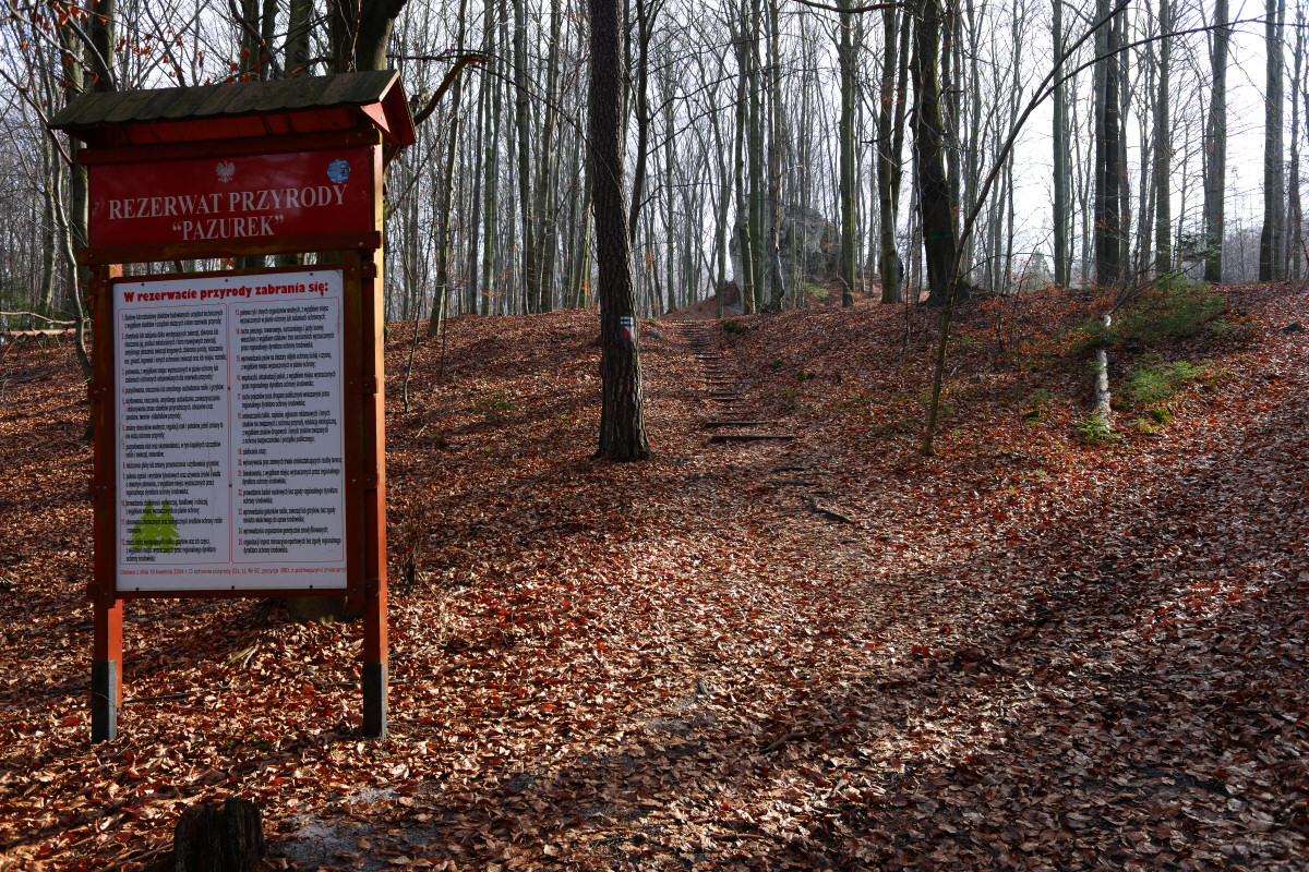 Jaroszowiec, rezerwat Pazurek