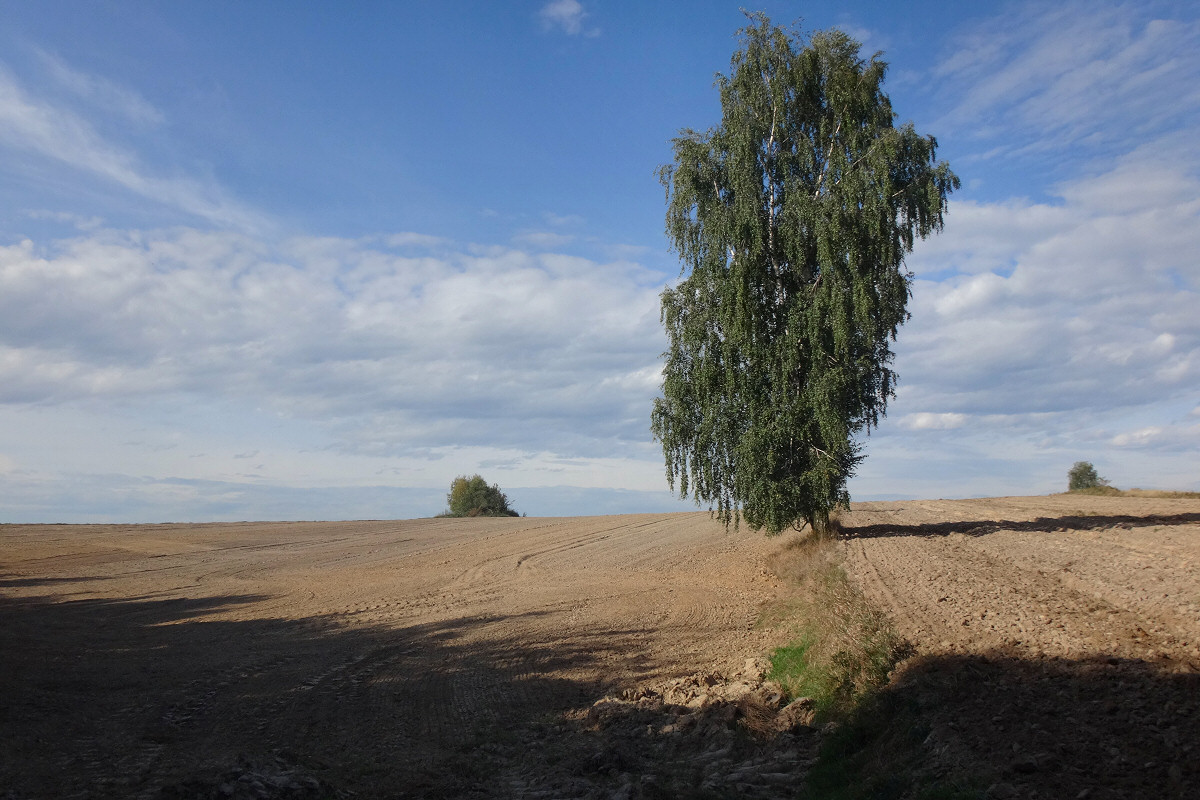 Spacerkiem po Progu Lelowskim