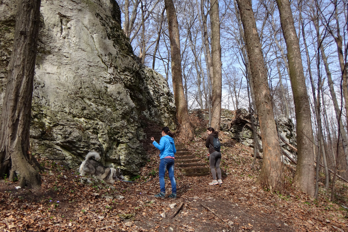 Stoowa Gra, Jaroszowiec