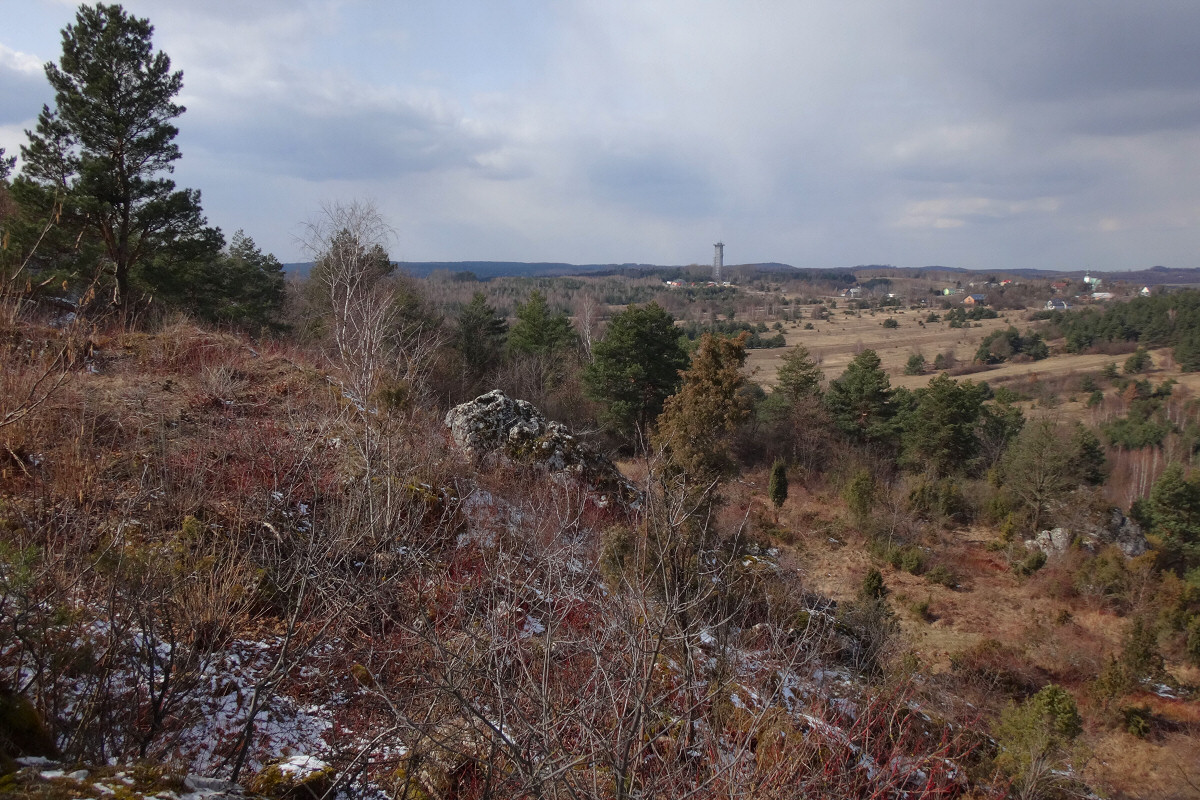 Wielka Gra, Bukowiec Wielki