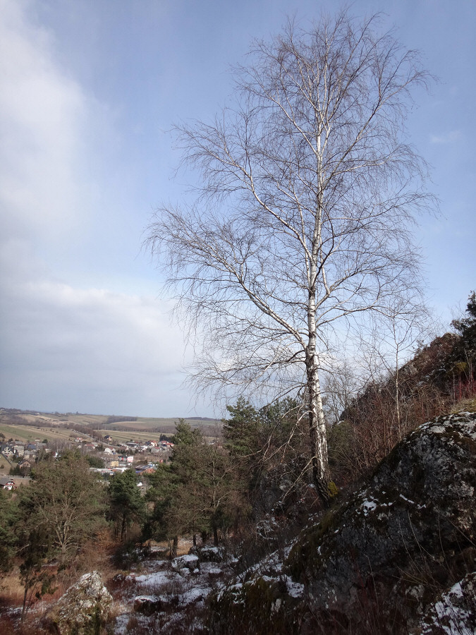 Wielka Gra, Bukowiec Wielki