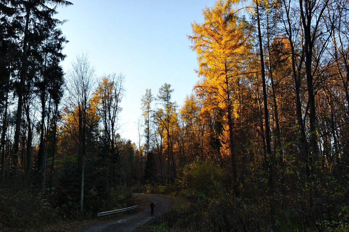 Dubiaski Park Krajobrazowy