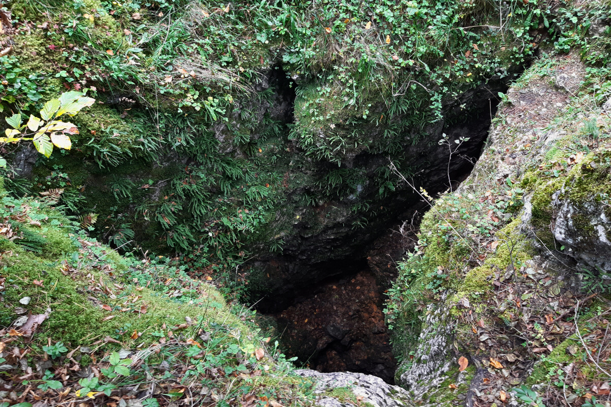 Jaskinia Żabia