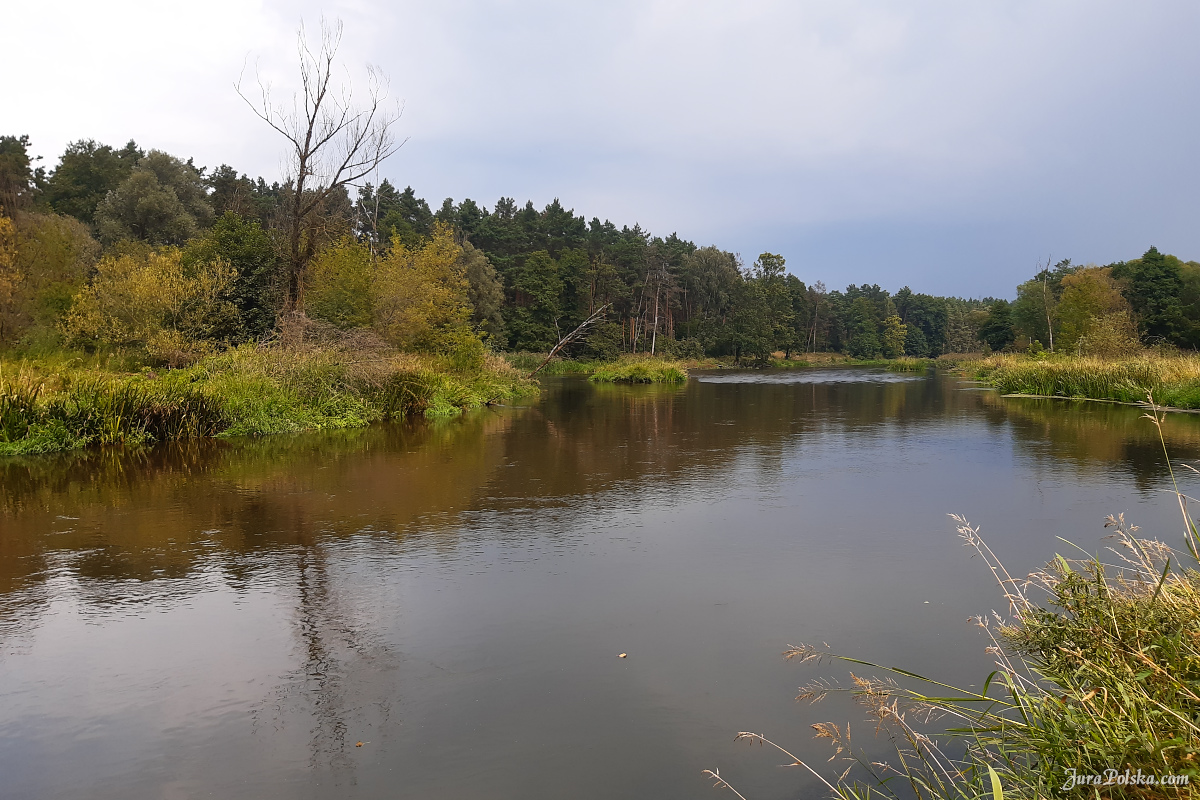 KajakiemPoPilicy.pl - spywy Liswart / Wart 2023r.