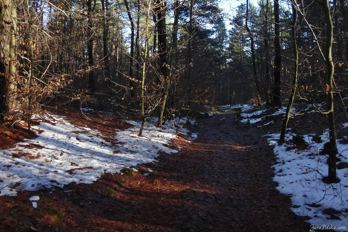 Skaki Rzdkowickie