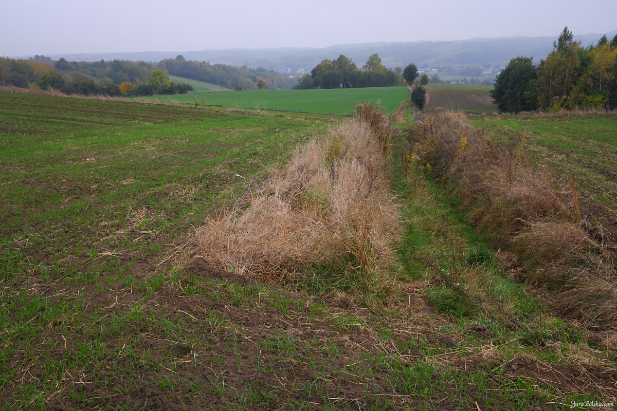 Kolonia Dobra