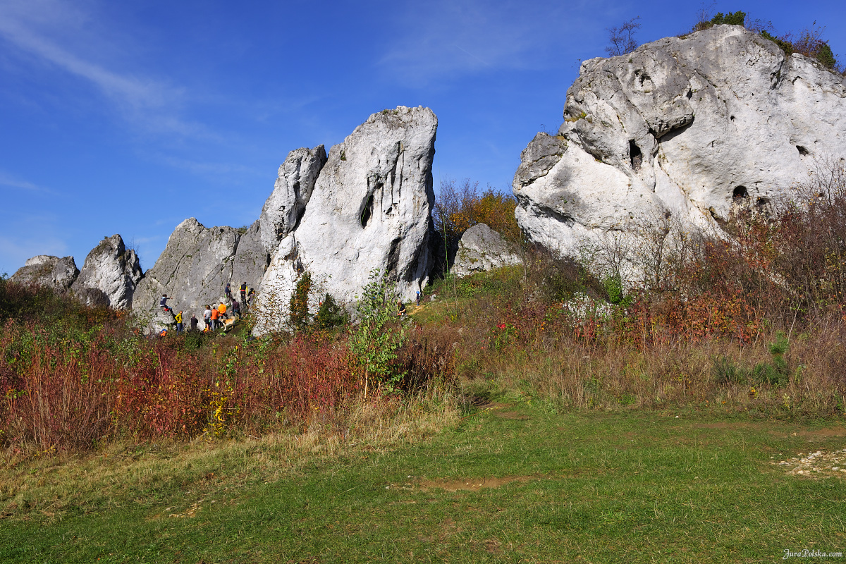 Skaki Rzdkowickie