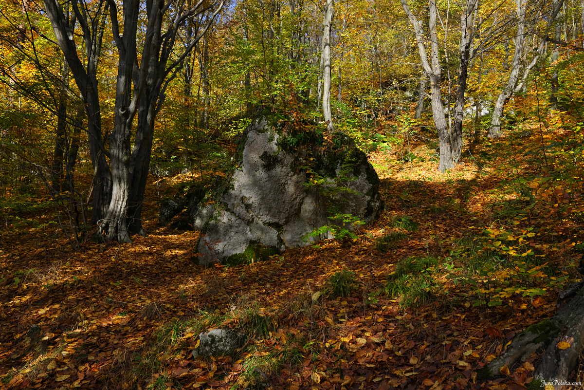 rezerwat Gra Zborw