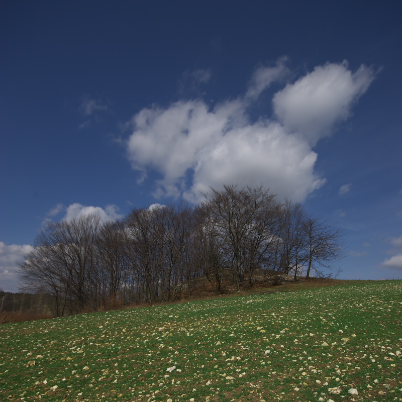 Babia Gra, Jaroszw, Suliszowice