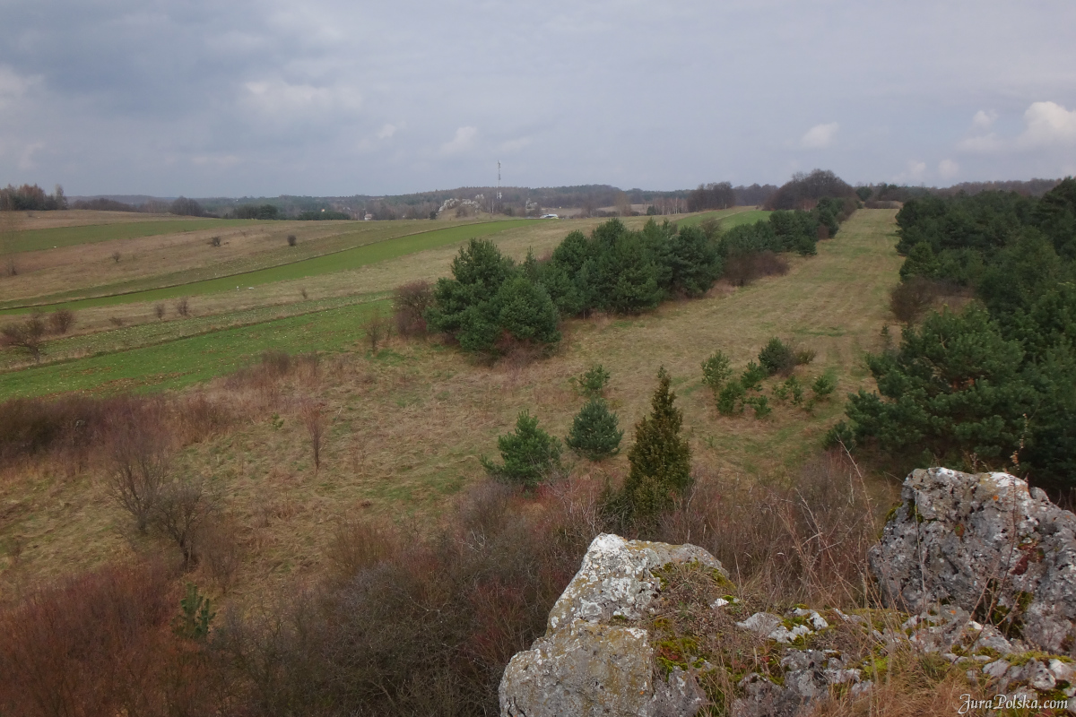 Babia Gra, Jaroszw, Suliszowice