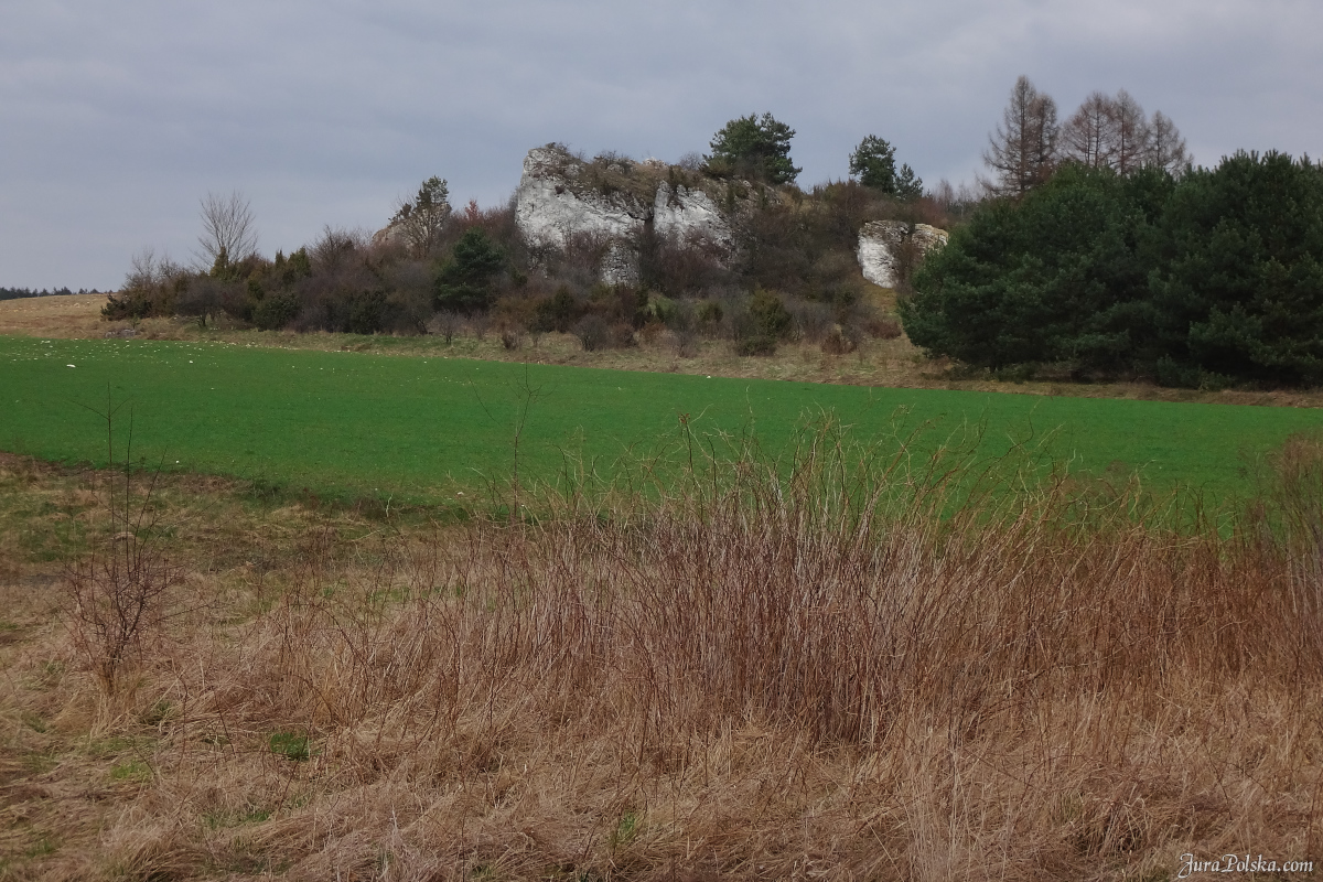 Babia Gra, Jaroszw, Suliszowice