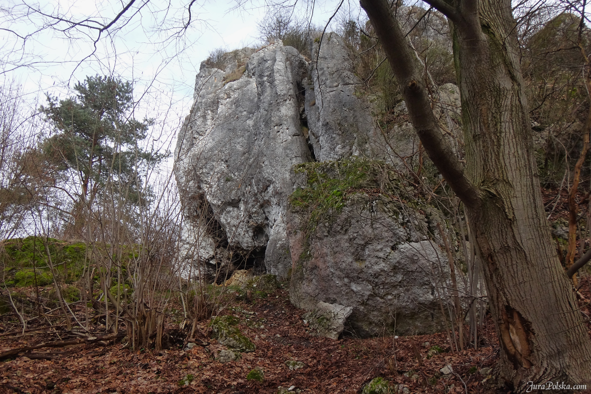 Babia Gra, Jaroszw, Suliszowice