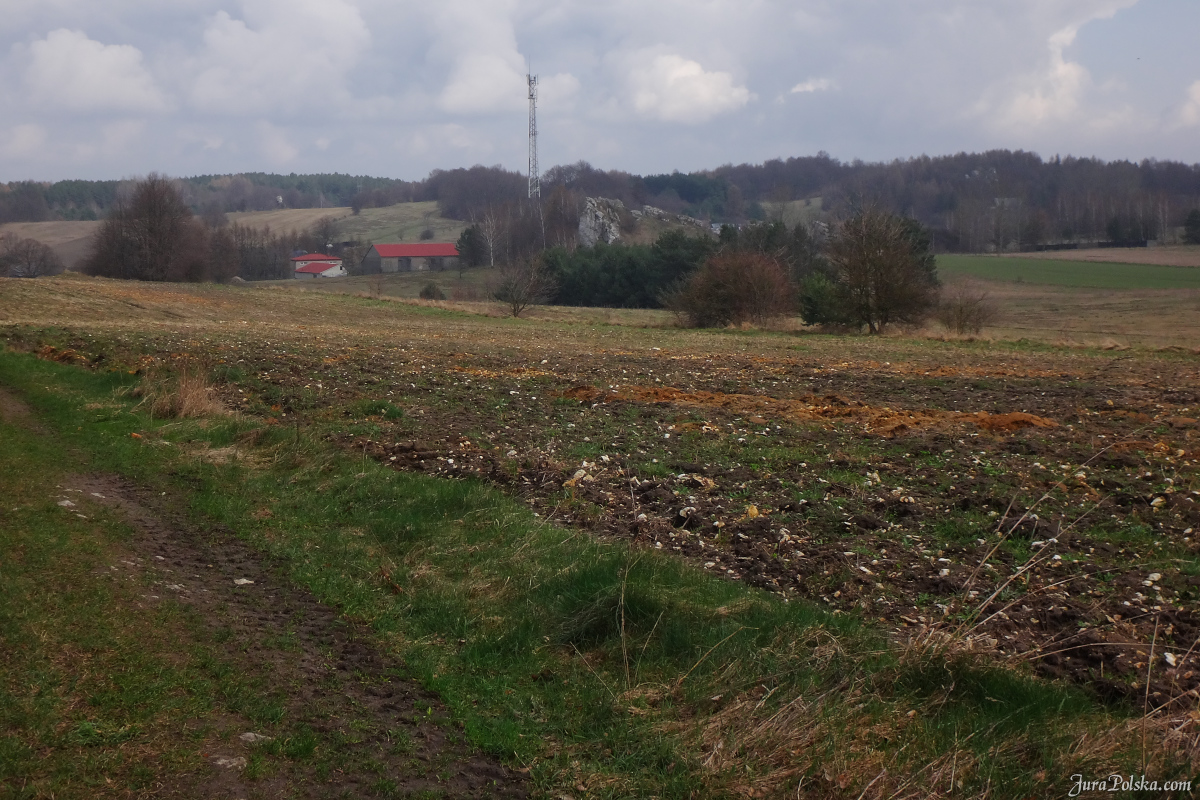 Babia Gra, Jaroszw, Suliszowice