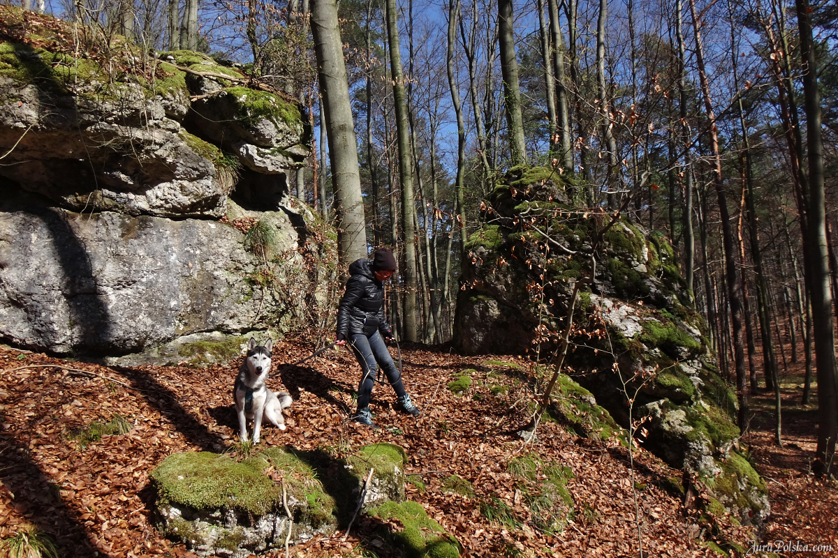 Suliszowice, Ostrnik, Dolina Wiercicy