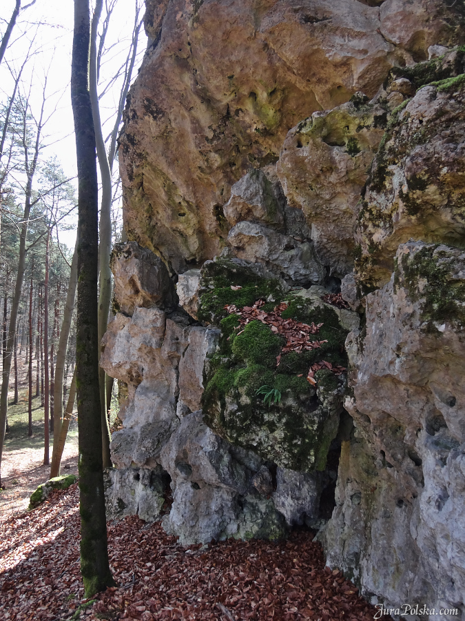 Suliszowice, Ostrnik, Dolina Wiercicy