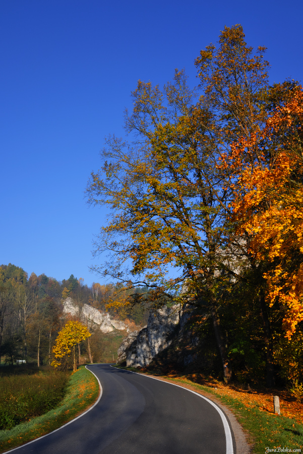 Ojcowski Park Narodowy