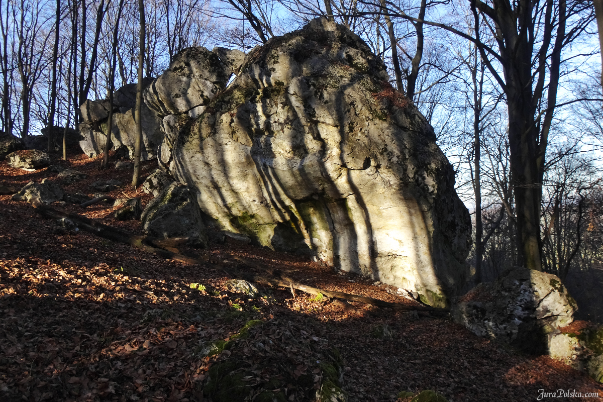 Skaki Rzdkowickie