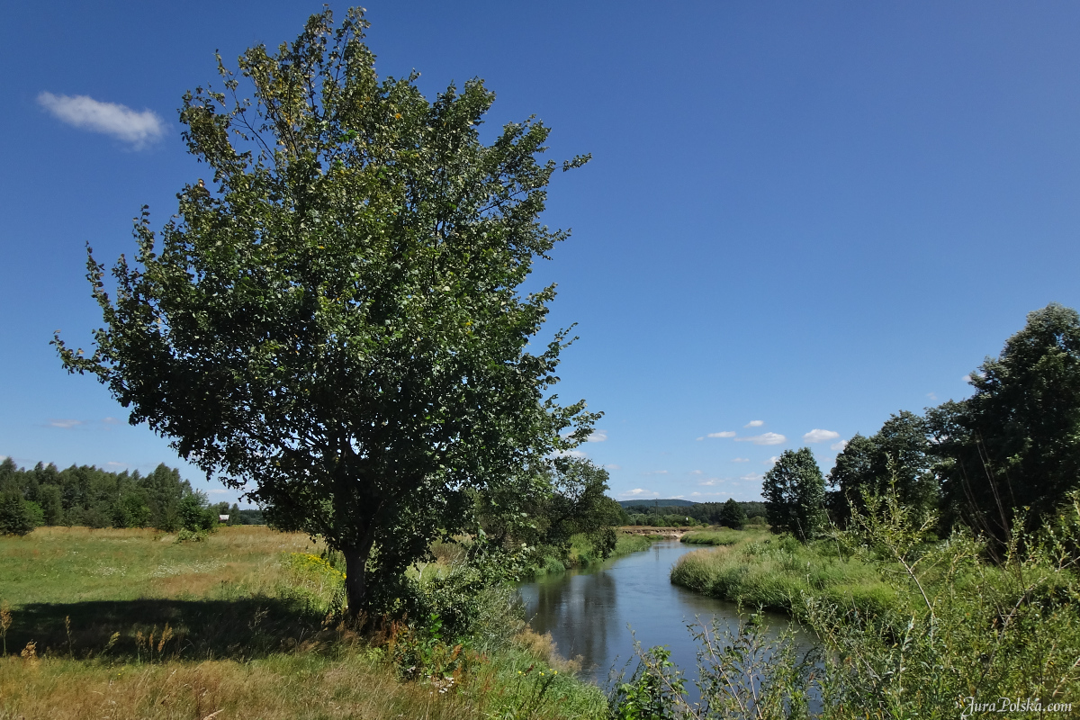 Zapraszamy na kajaki - kajakiempopilicy.pl