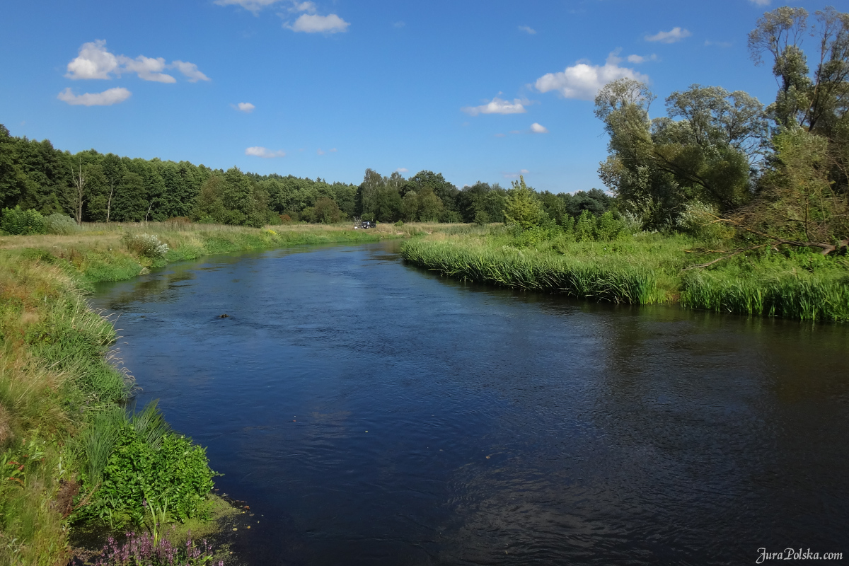 Zapraszamy na kajaki - kajakiempopilicy.pl