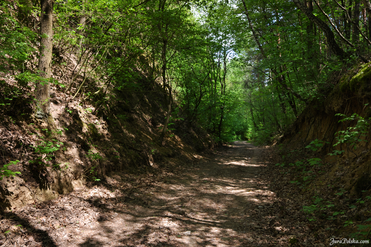 Biedrzykowice