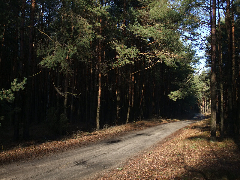 Okolice Mełchowa