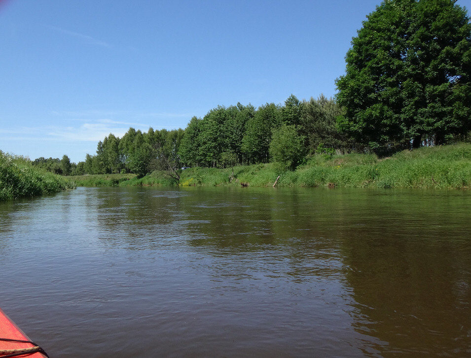 Czerwcowy spływ kajakowy rzeką Pilicą na odcinku Maluszyn - Krzętów