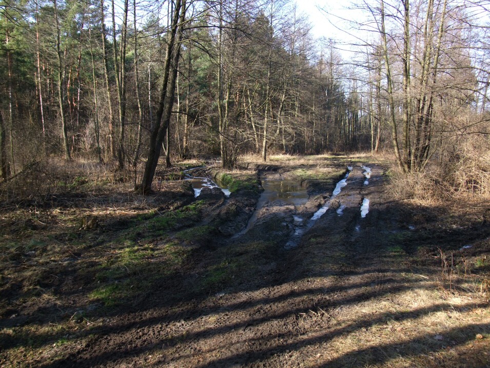 Między Krzykawką, a Laskami