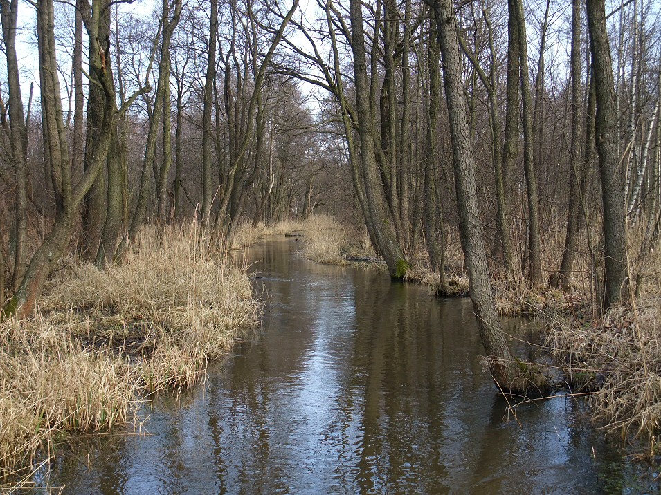 Przemsza k/Błędowa