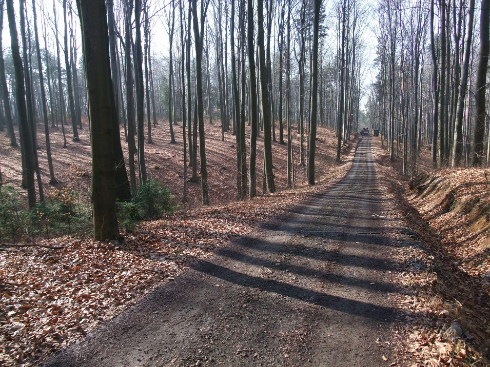 Za Trzebyczką