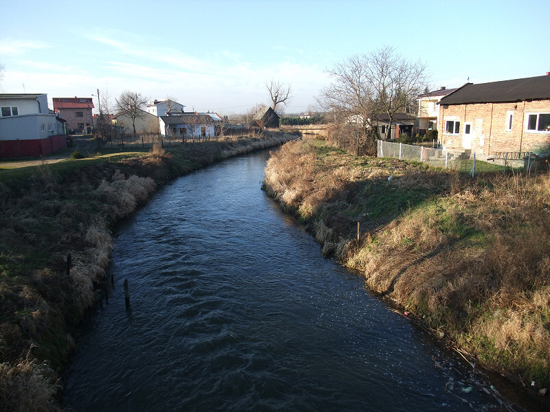 Pilica w Szczekocinach