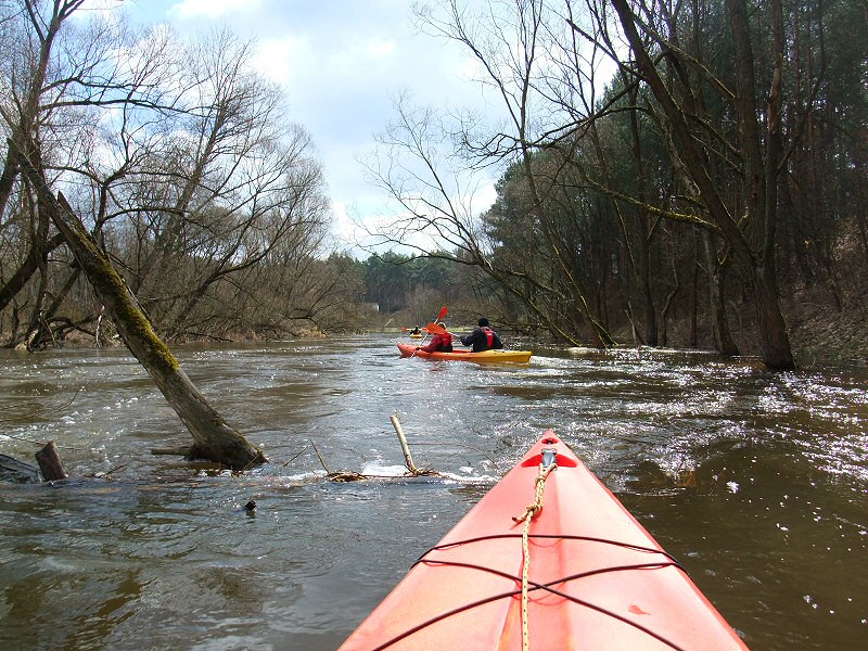 Wczesnowiosenny spływ kajakowy rzeką Liswartą