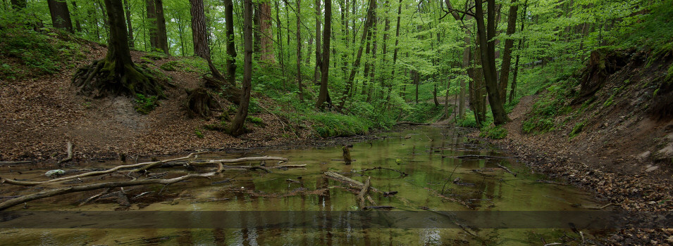 Jura Krakowsko - Czstochowska