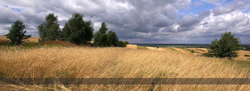 Jura Krakowsko - Czstochowska