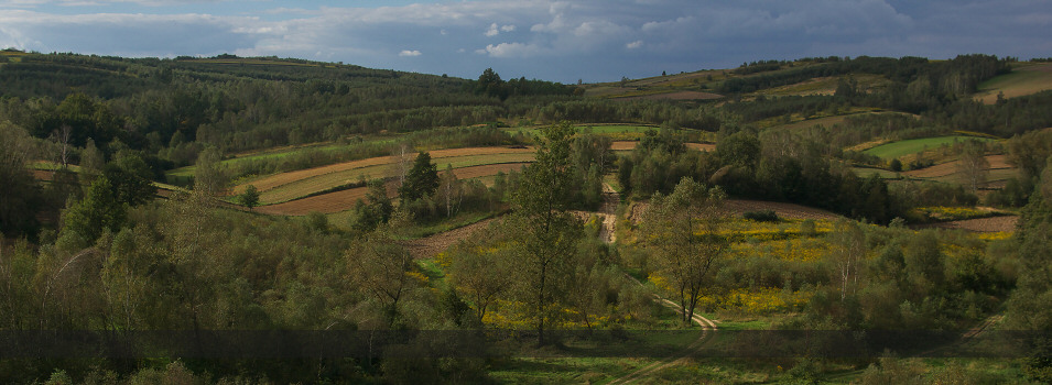 Jura Krakowsko - Czstochowska