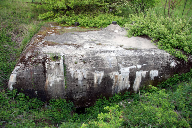 Kotowice3.jpg