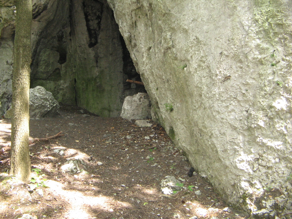 IMG_1207.jpg