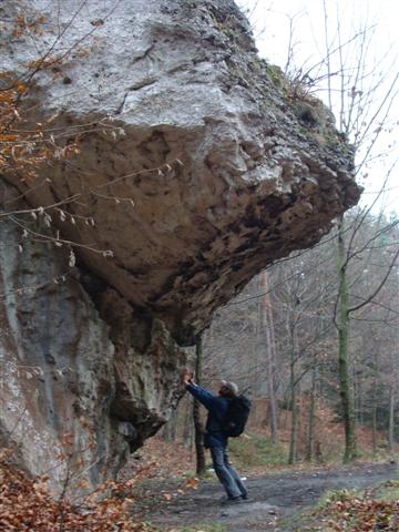 DSC07090.JPG
