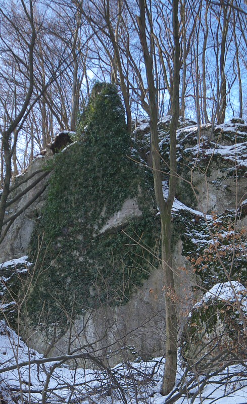 SG103676.jpg
