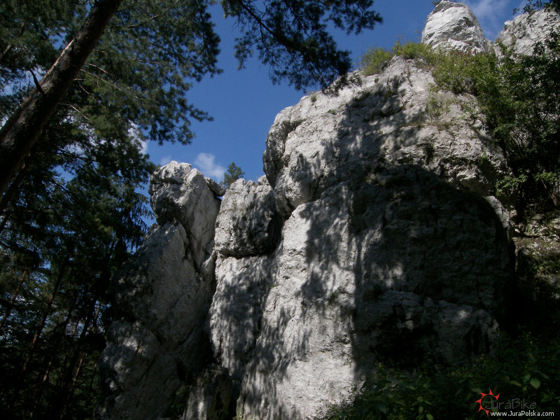 zag_300807_1.jpg