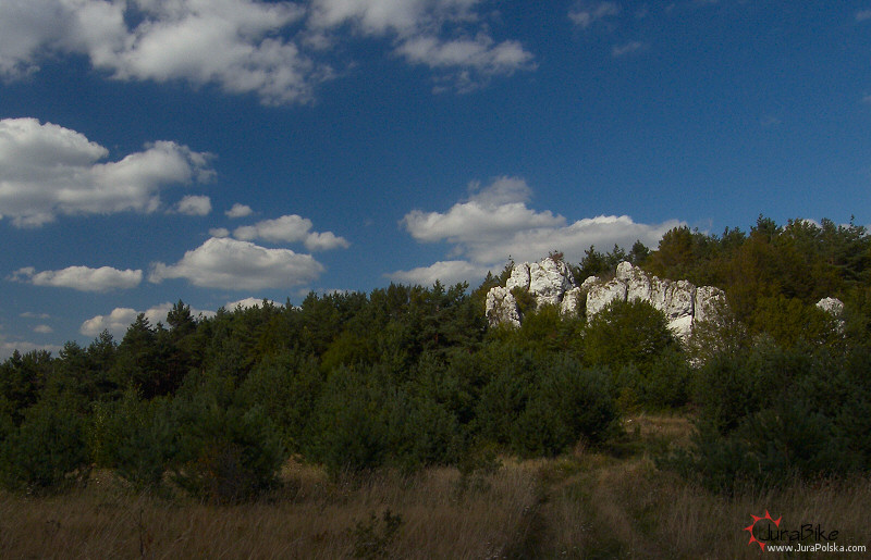 zag_300807_pod.jpg