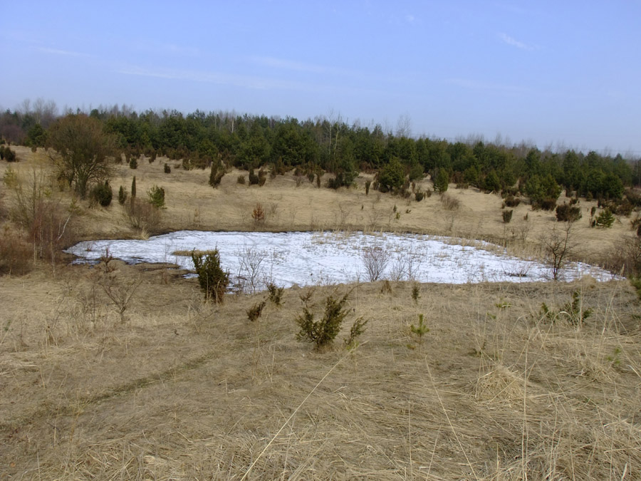 DSCF0004.JPG
